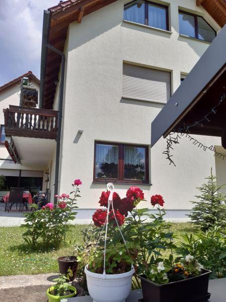 Thueringer Zimmer Suhl Exterior photo